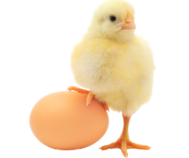 pngegg(8)